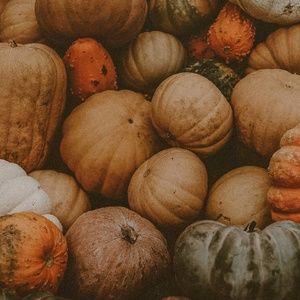 Meet your Posher, Wendy